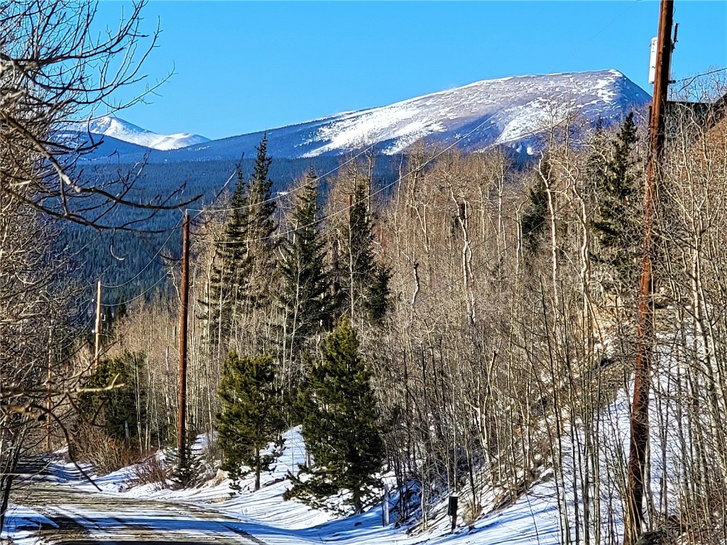 1191 Quartzville Road Alma CO 80420