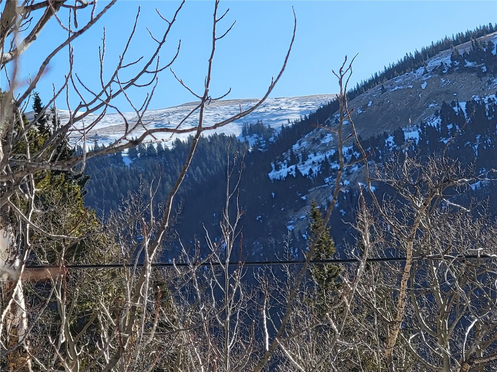 1191 Quartzville Road Alma CO 80420