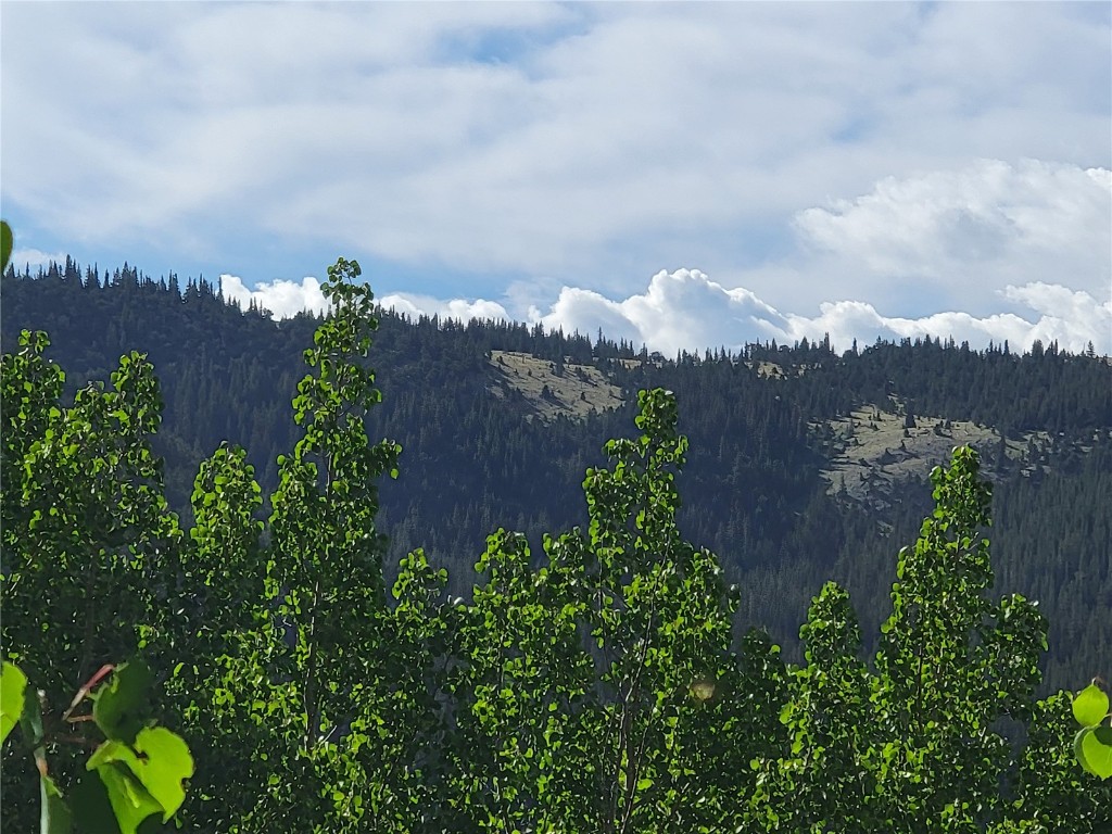 1191 Quartzville Road Alma CO 80420