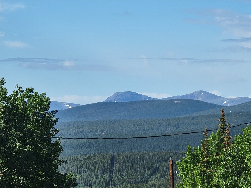 1191 Quartzville Road Alma CO 80420