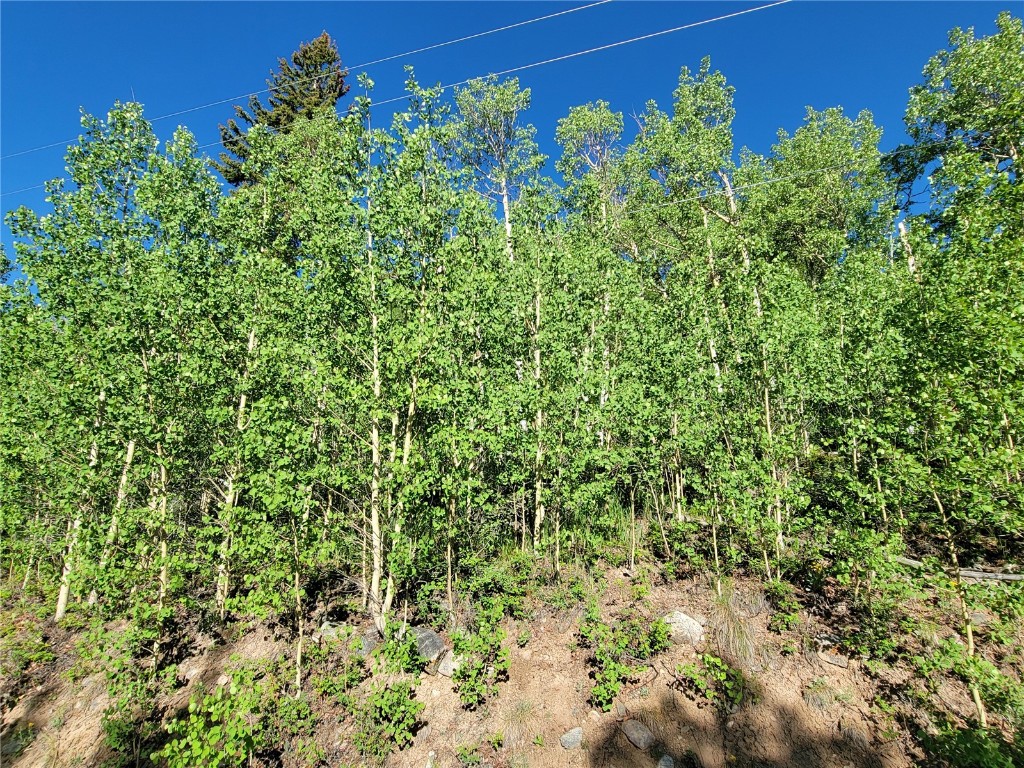 1191 Quartzville Road Alma CO 80420