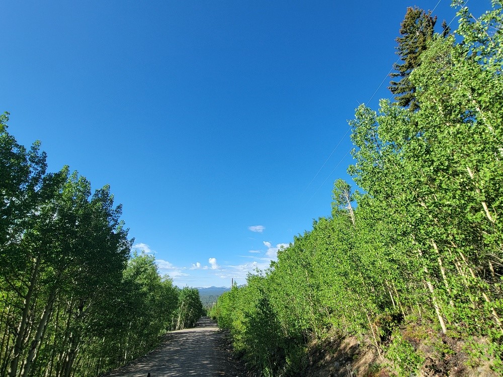1191 Quartzville Road Alma CO 80420