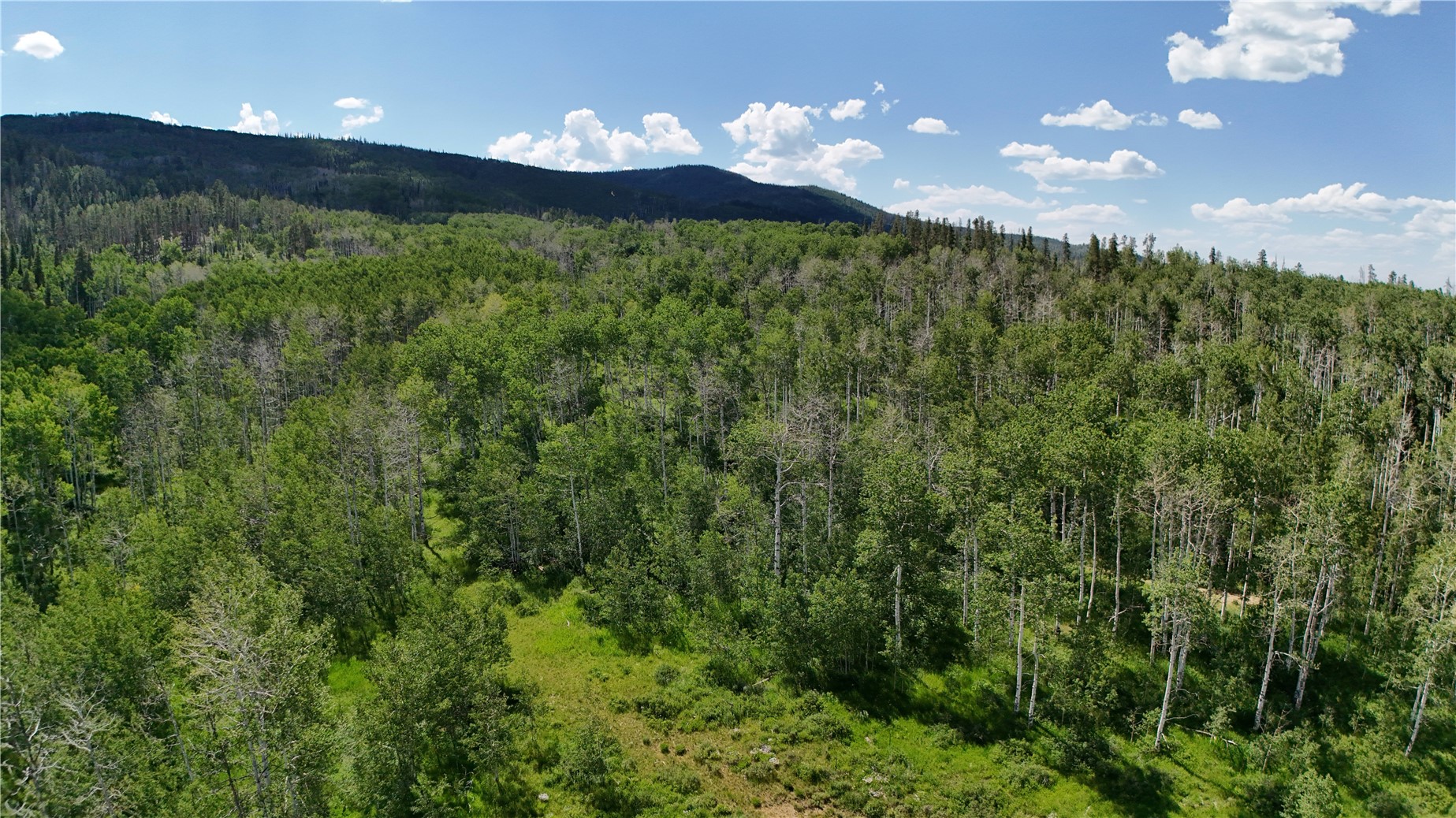Lot 23 Gallop Trail Oak Creek CO 80467