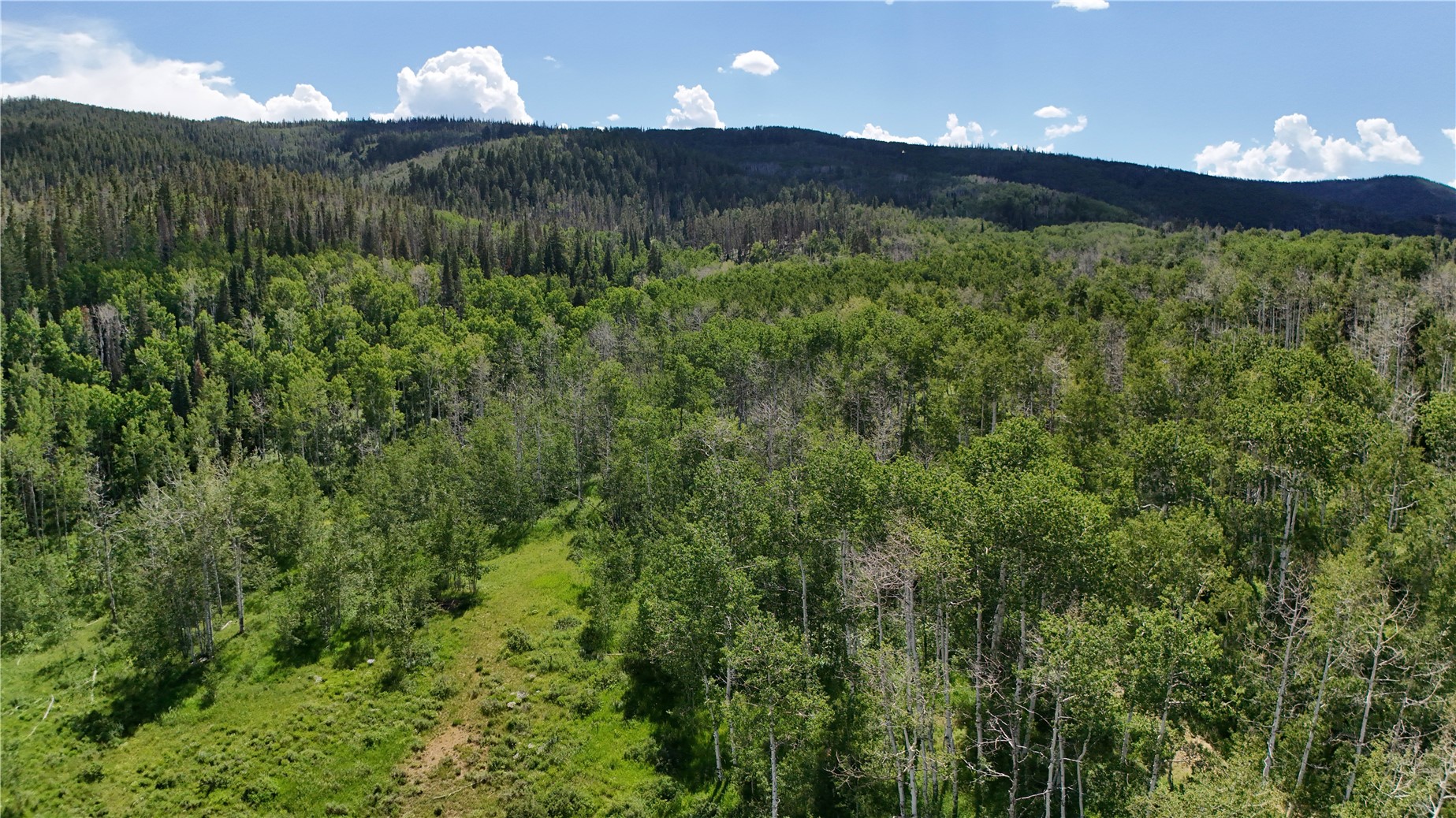 Lot 23 Gallop Trail Oak Creek CO 80467