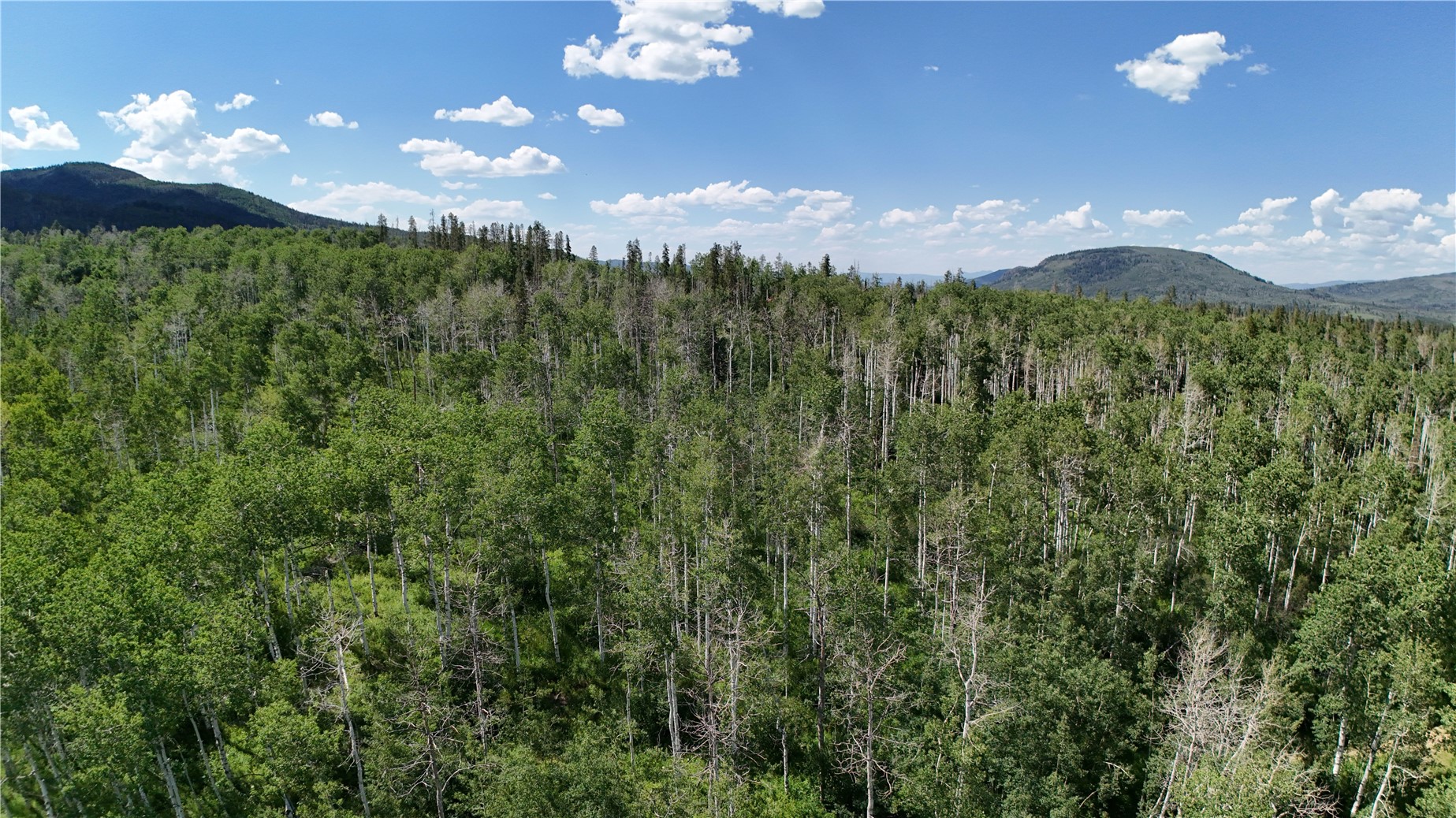 Lot 23 Gallop Trail Oak Creek CO 80467
