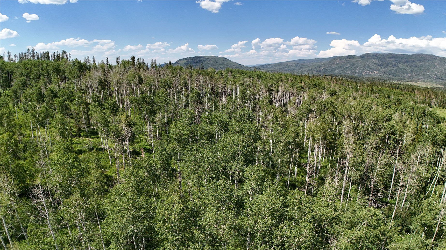 Lot 23 Gallop Trail Oak Creek CO 80467