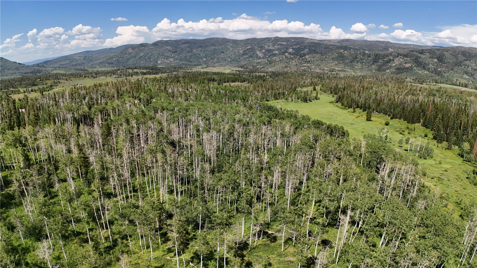Lot 23 Gallop Trail Oak Creek CO 80467