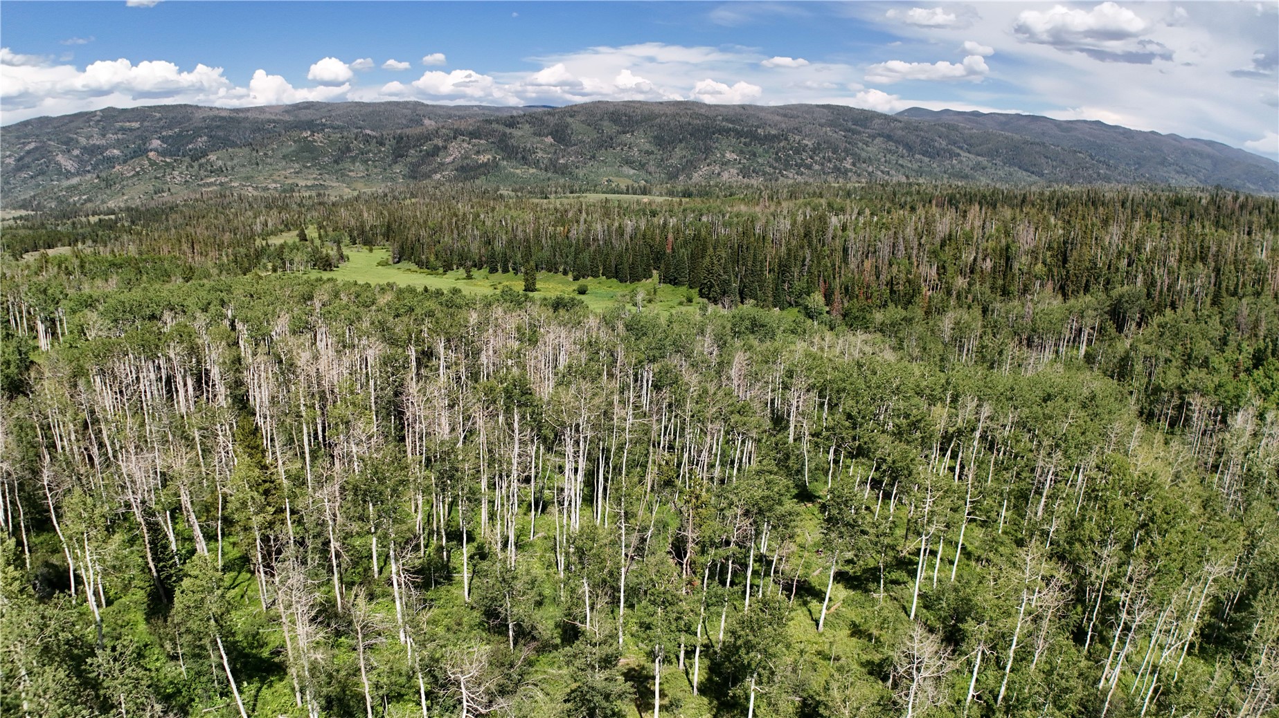 Lot 23 Gallop Trail Oak Creek CO 80467