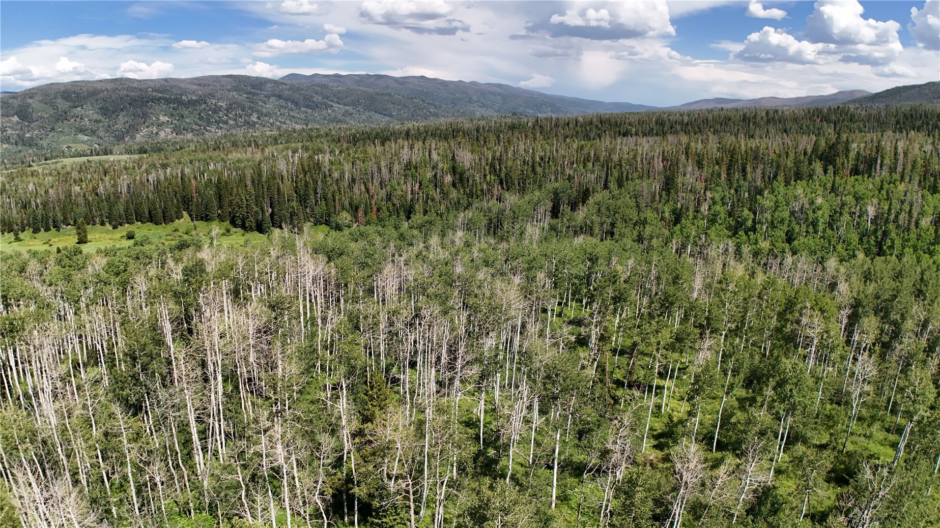 Lot 23 Gallop Trail Oak Creek CO 80467