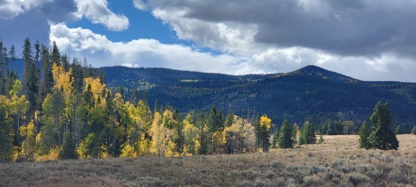 Lot 23 Gallop Trail Oak Creek CO 80467