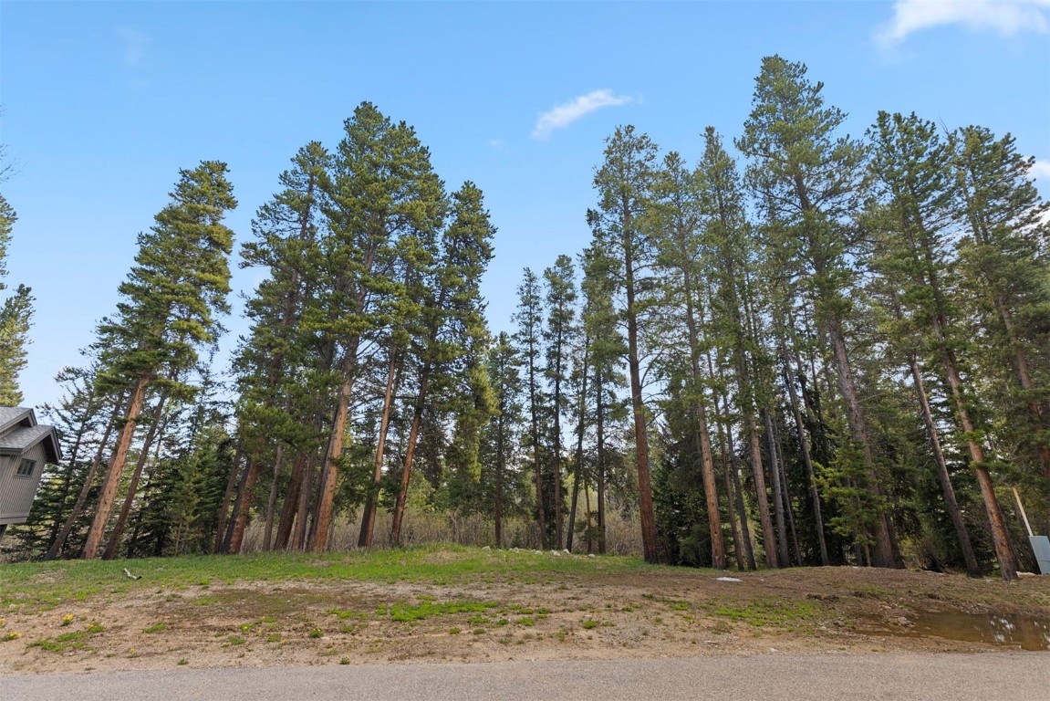 28 Tall Pines Drive Breckenridge CO 80424