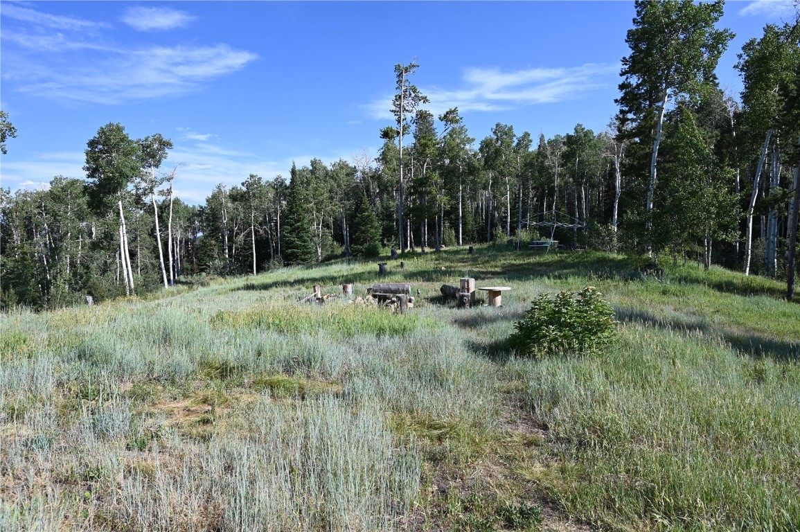 21525 Green Ridge Court Oak Creek CO 80467