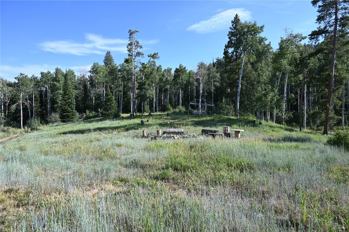21525 Green Ridge Court Oak Creek CO 80467