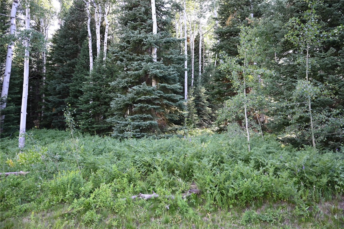 21525 Green Ridge Court Oak Creek CO 80467