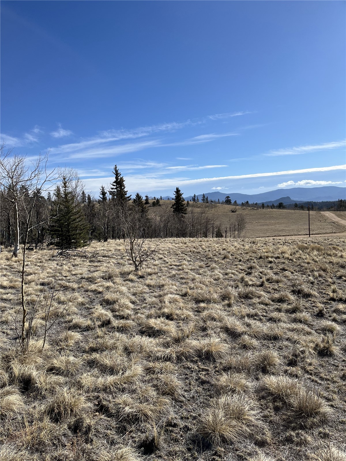 325 Shoshone Drive Como CO 80432