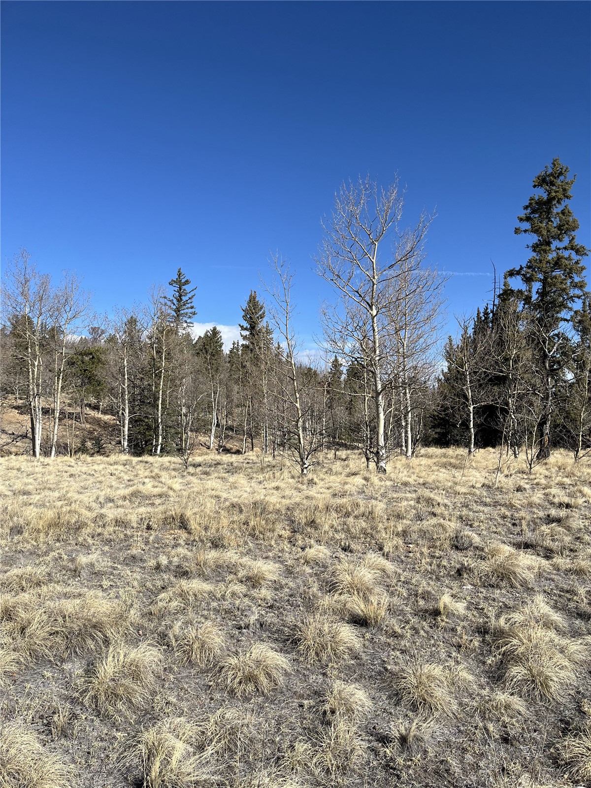 325 Shoshone Drive Como CO 80432