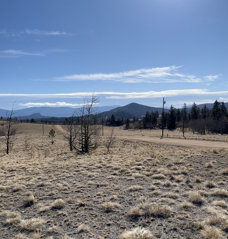 325 Shoshone Drive Como CO 80432