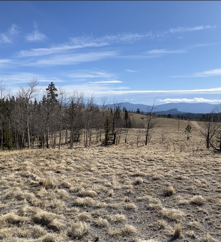 325 Shoshone Drive Como CO 80432