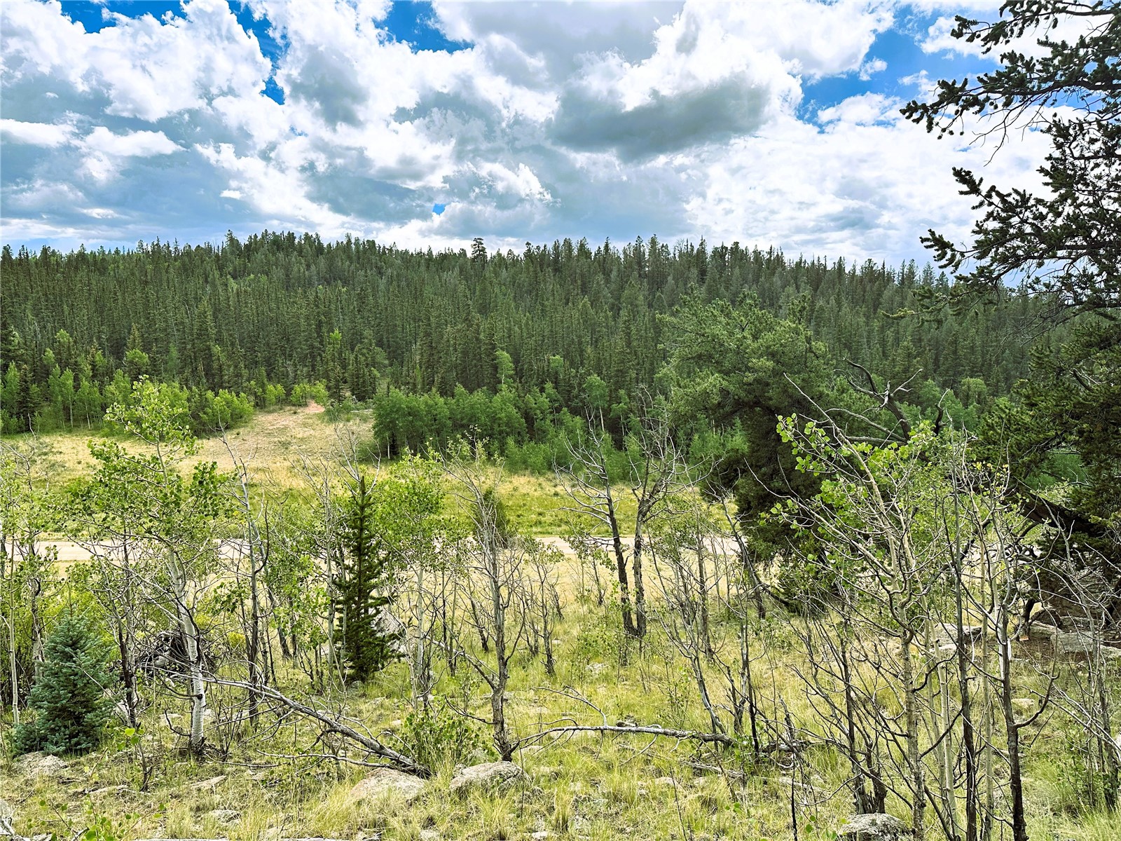 766 W Longbow Drive Como CO 80432