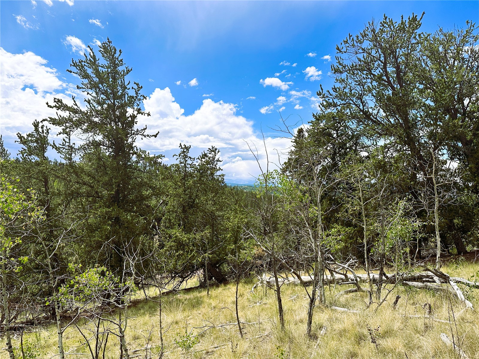 766 W Longbow Drive Como CO 80432