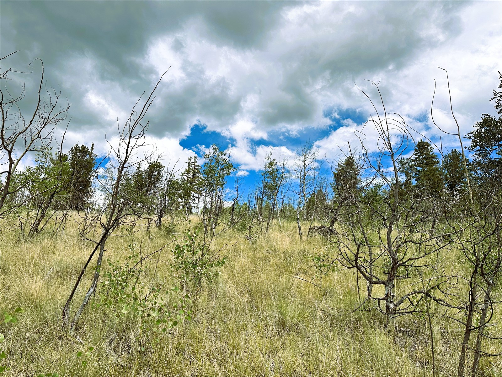 766 W Longbow Drive Como CO 80432