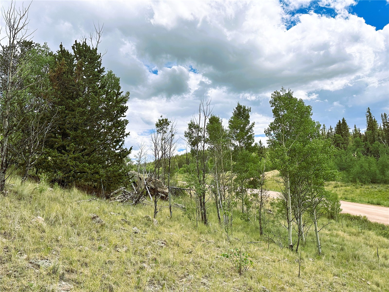 766 W Longbow Drive Como CO 80432