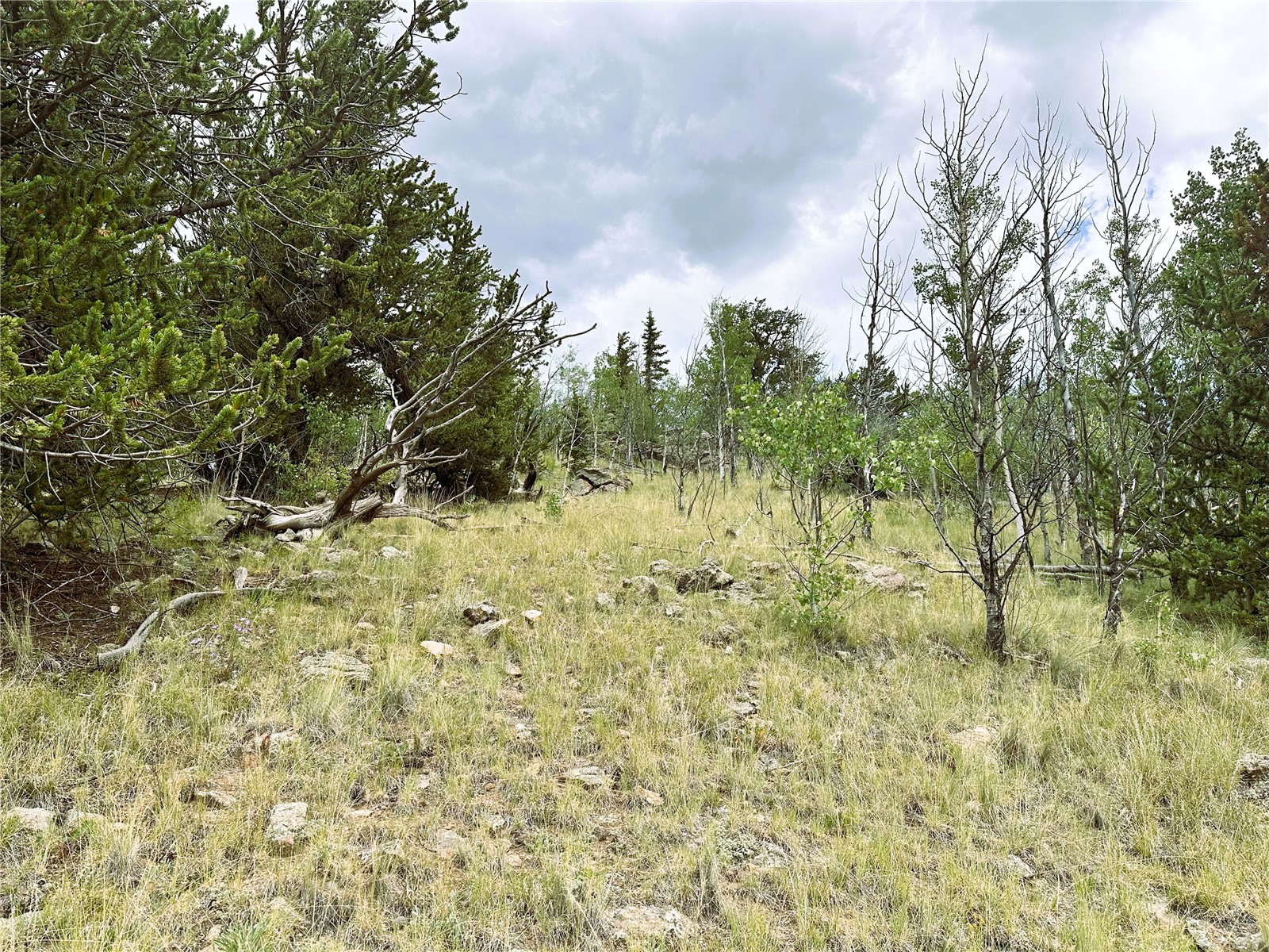 766 W Longbow Drive Como CO 80432