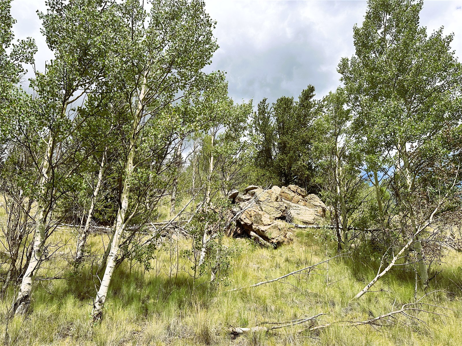 766 W Longbow Drive Como CO 80432