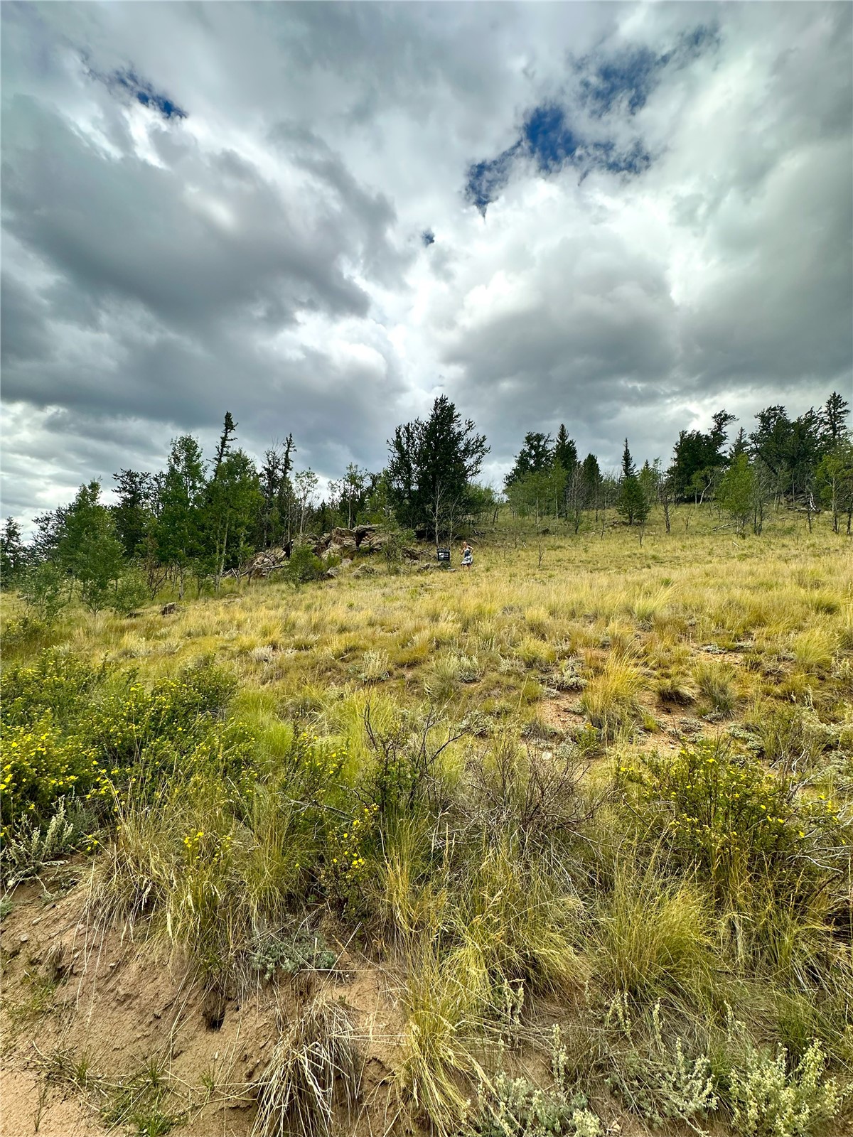 766 W Longbow Drive Como CO 80432