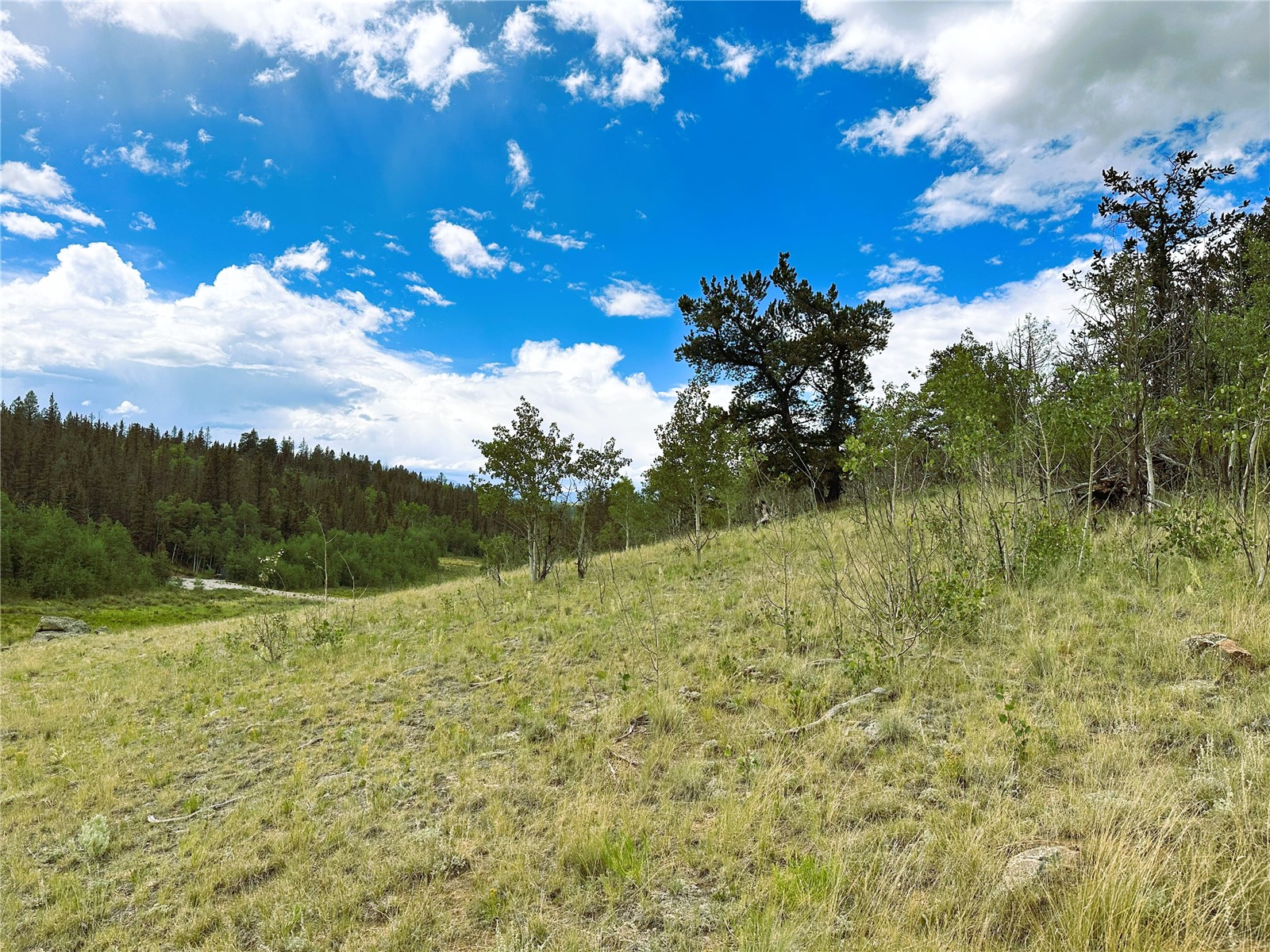 766 W Longbow Drive Como CO 80432