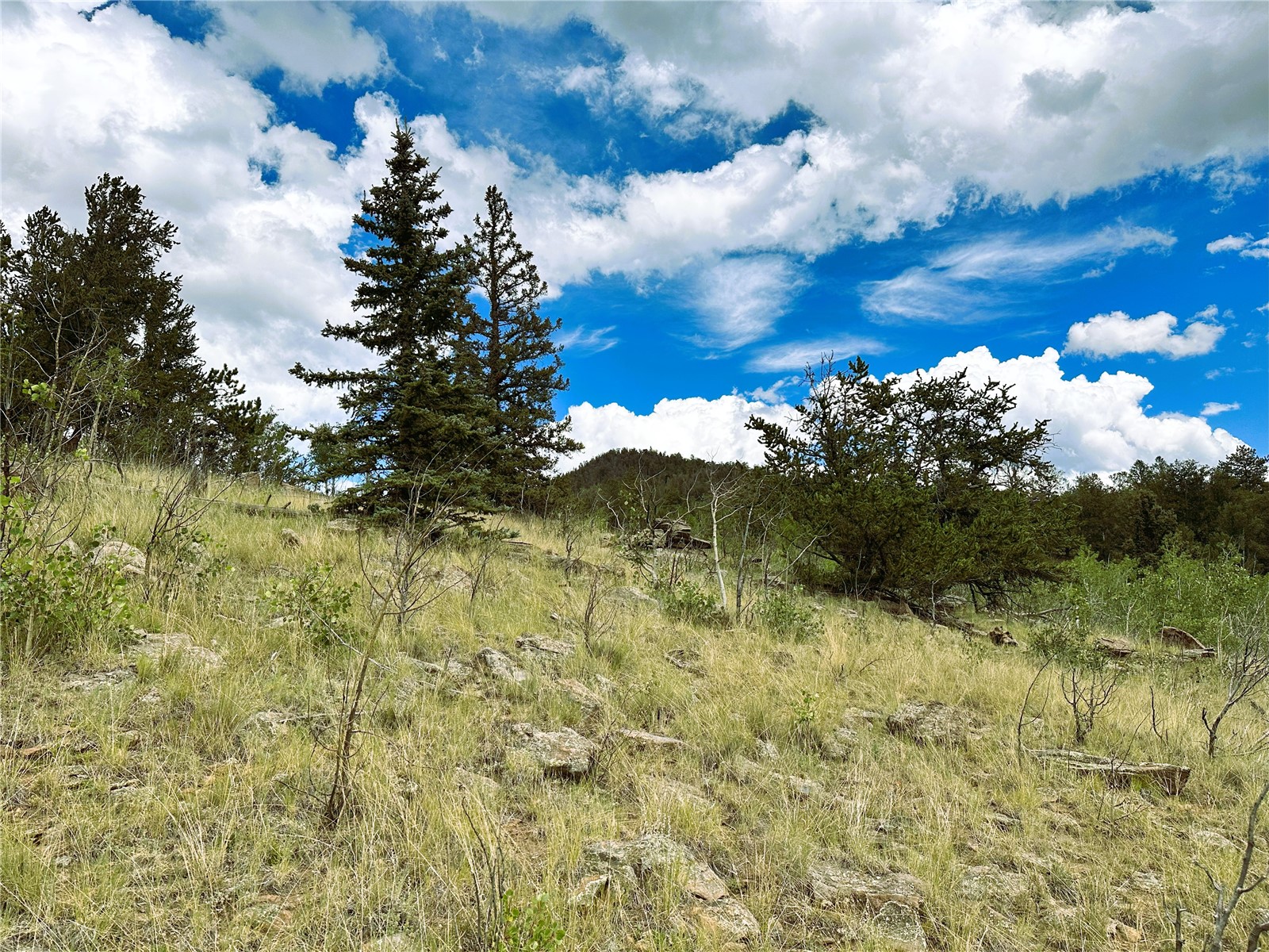 766 W Longbow Drive Como CO 80432