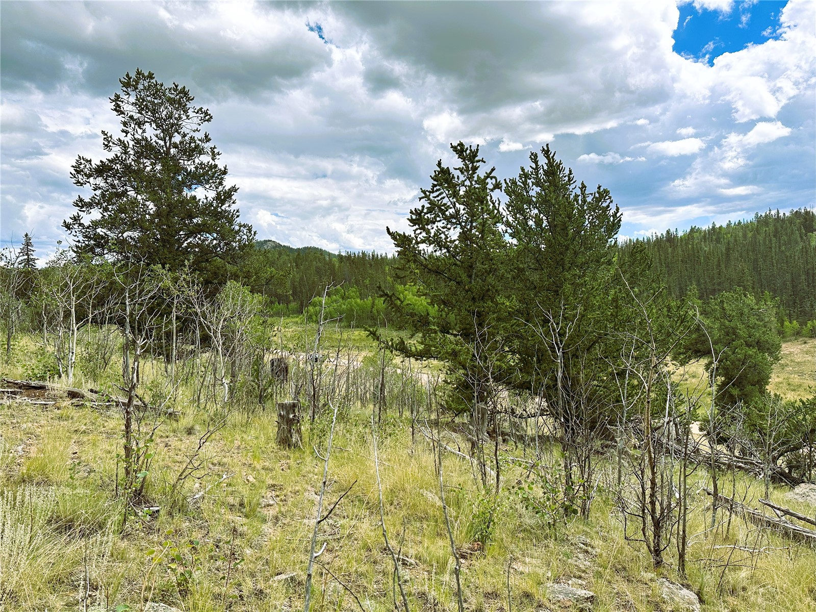 766 W Longbow Drive Como CO 80432