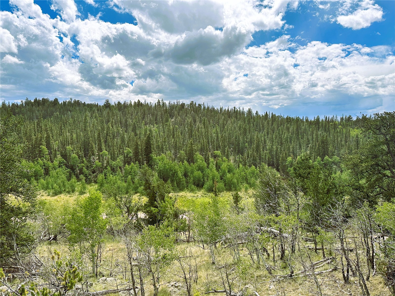 766 W Longbow Drive Como CO 80432