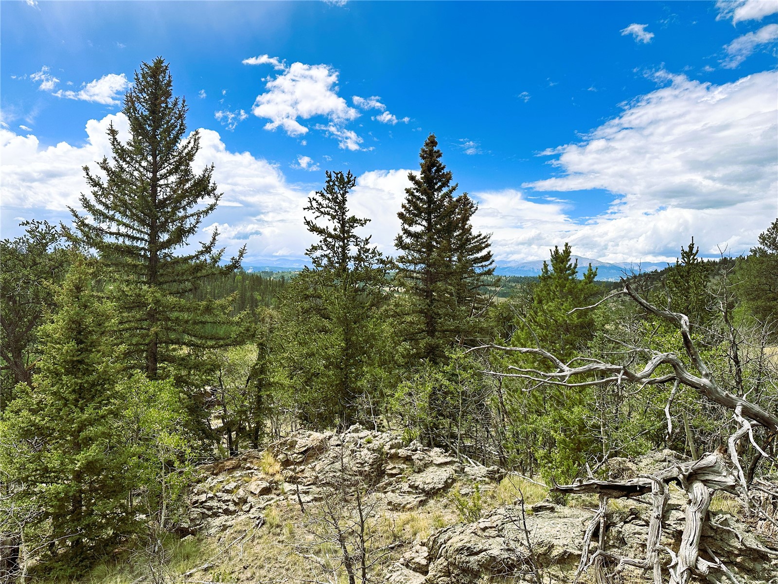 766 W Longbow Drive Como CO 80432