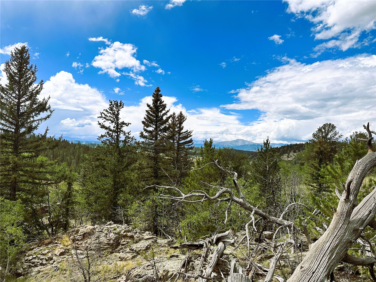 766 W Longbow Drive Como CO 80432
