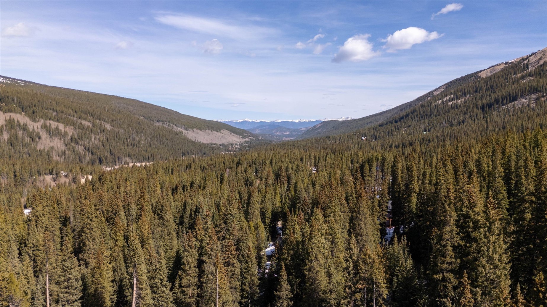697 Cr 674 Breckenridge CO 80424
