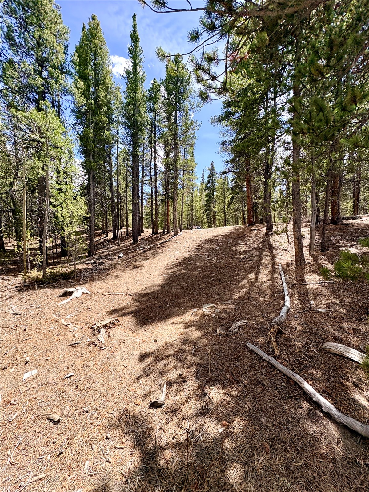 0 Georges Way Alma CO 80420