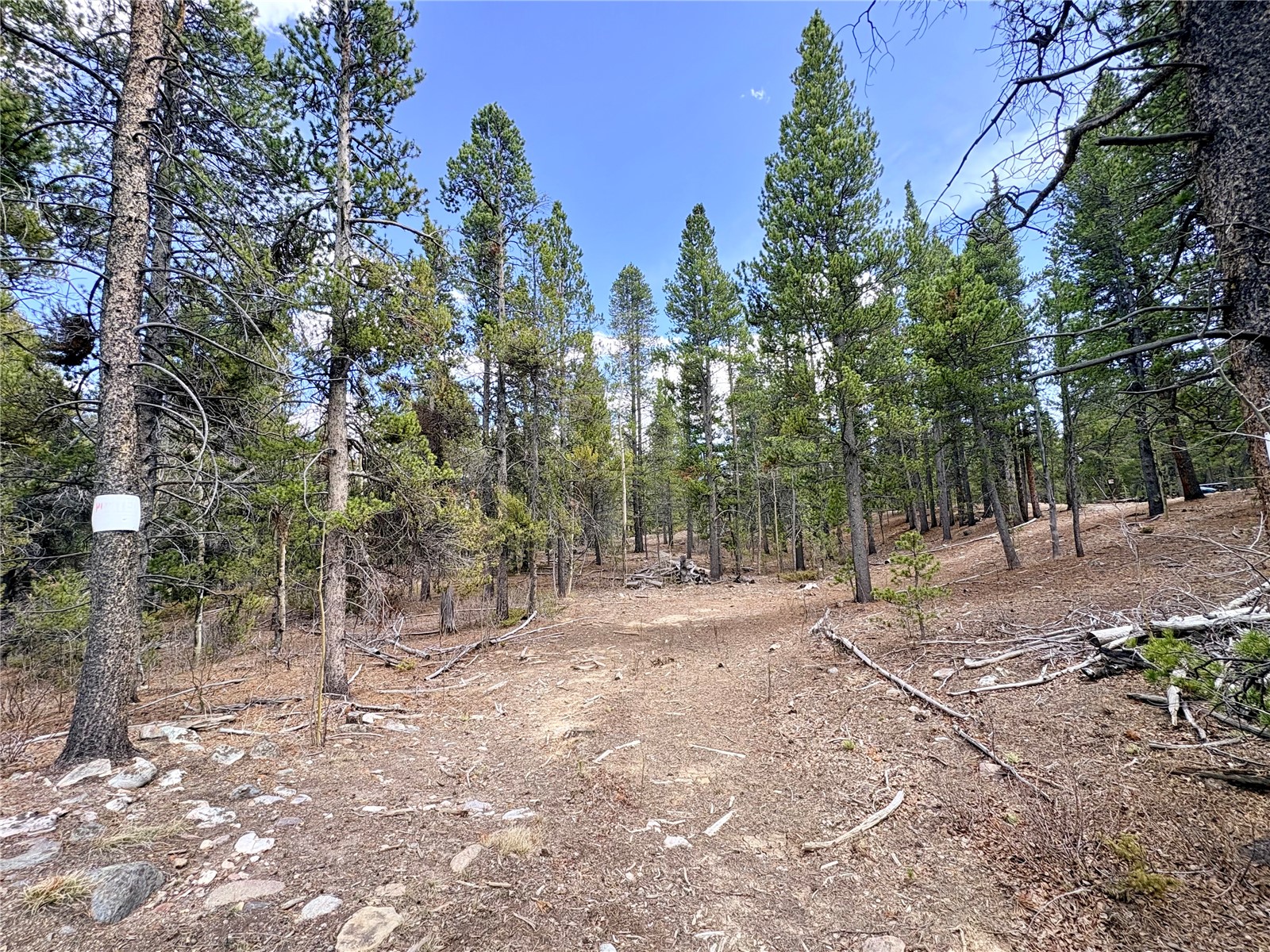 0 Georges Way Alma CO 80420