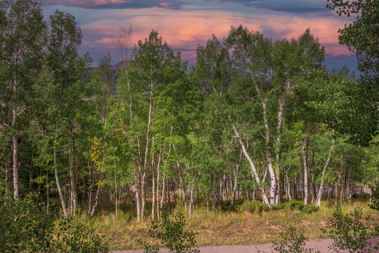 12 Harvest Moon Road Silverthorne CO 80498