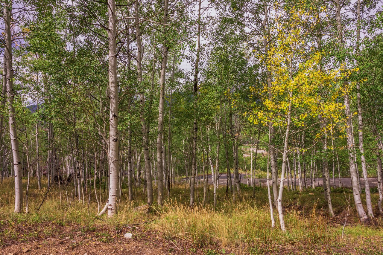 12 Harvest Moon Road Silverthorne CO 80498
