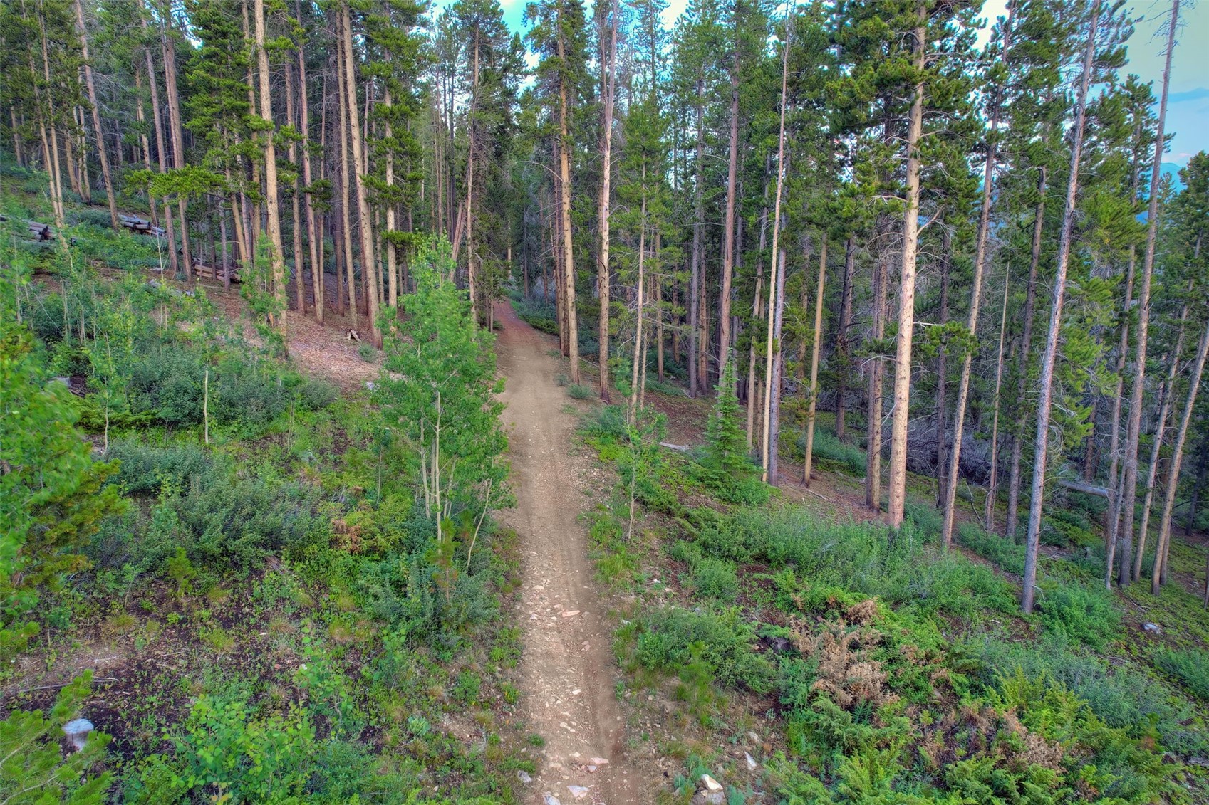 2211 Boreas Pass Road Breckenridge CO 80424