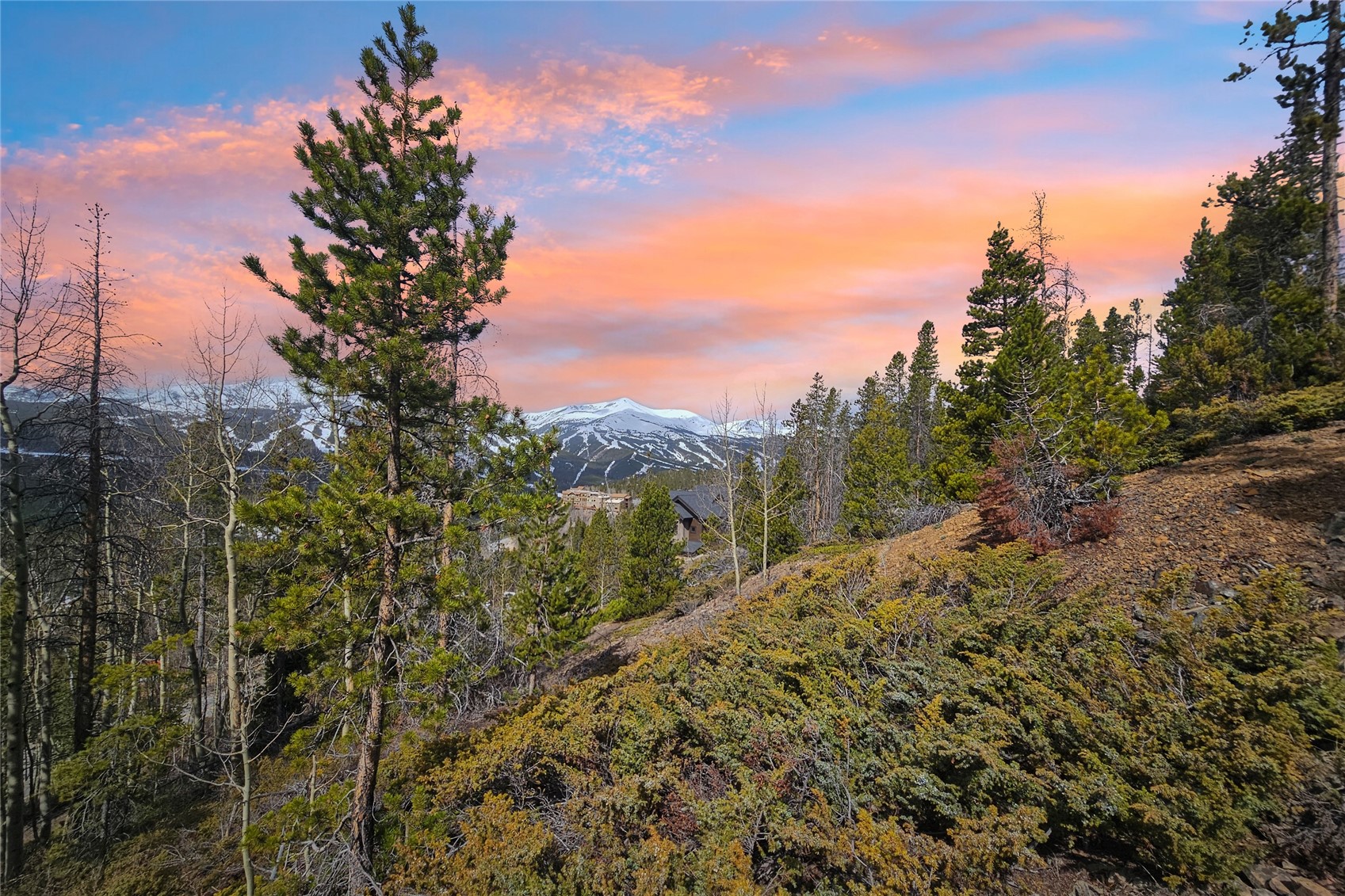 2211 Boreas Pass Road Breckenridge CO 80424
