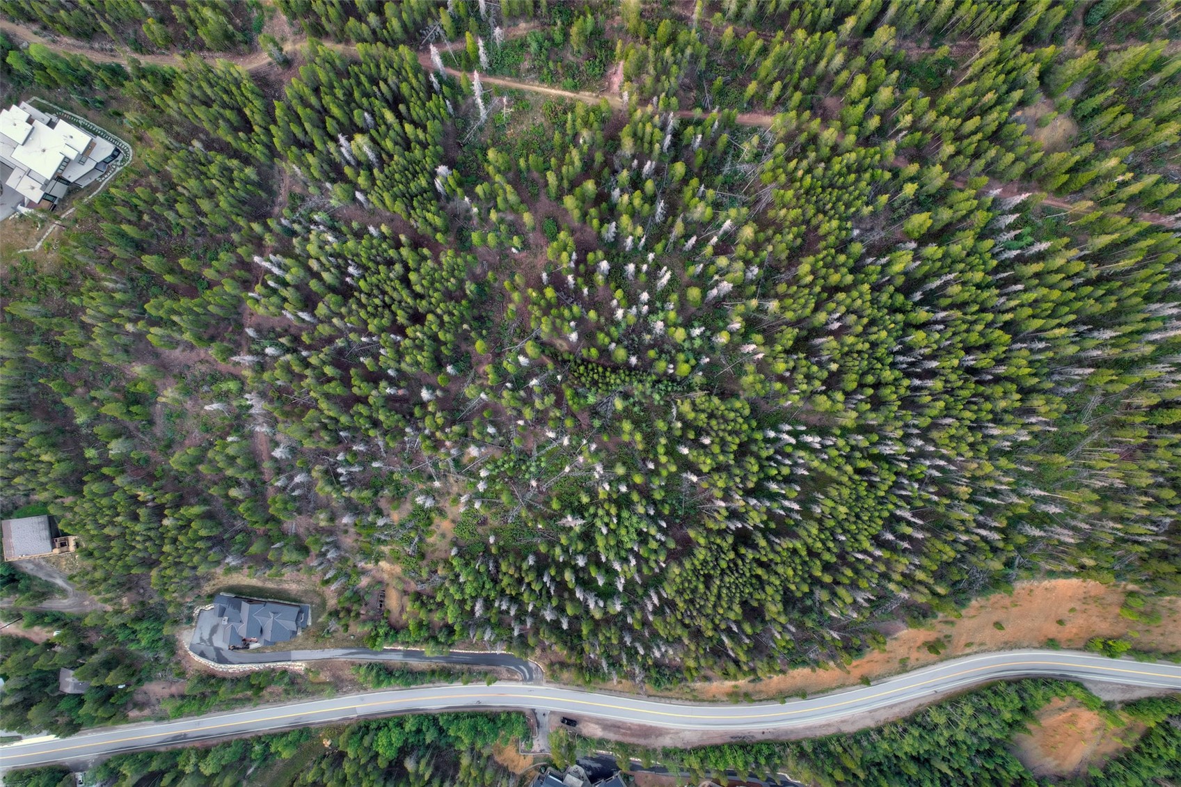 2211 Boreas Pass Road Breckenridge CO 80424