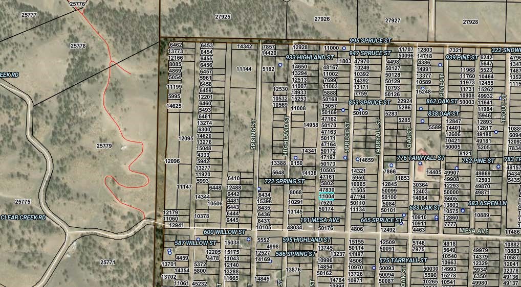 0000 Hillcrest Street Hartsel CO 80449