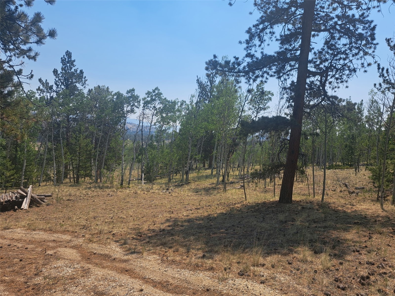 2338 Fitzsimmons Road Hartsel CO 80449