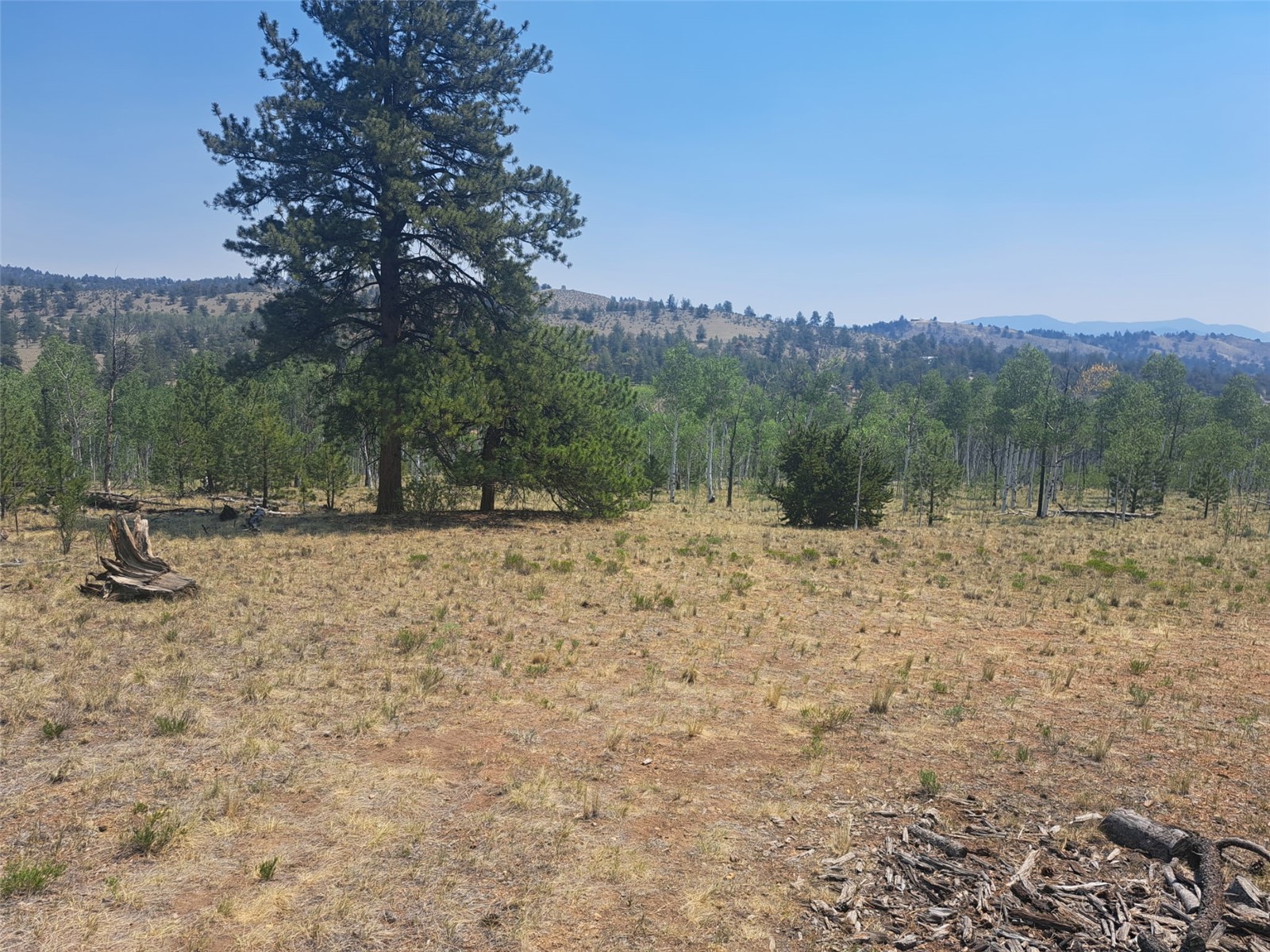 2338 Fitzsimmons Road Hartsel CO 80449