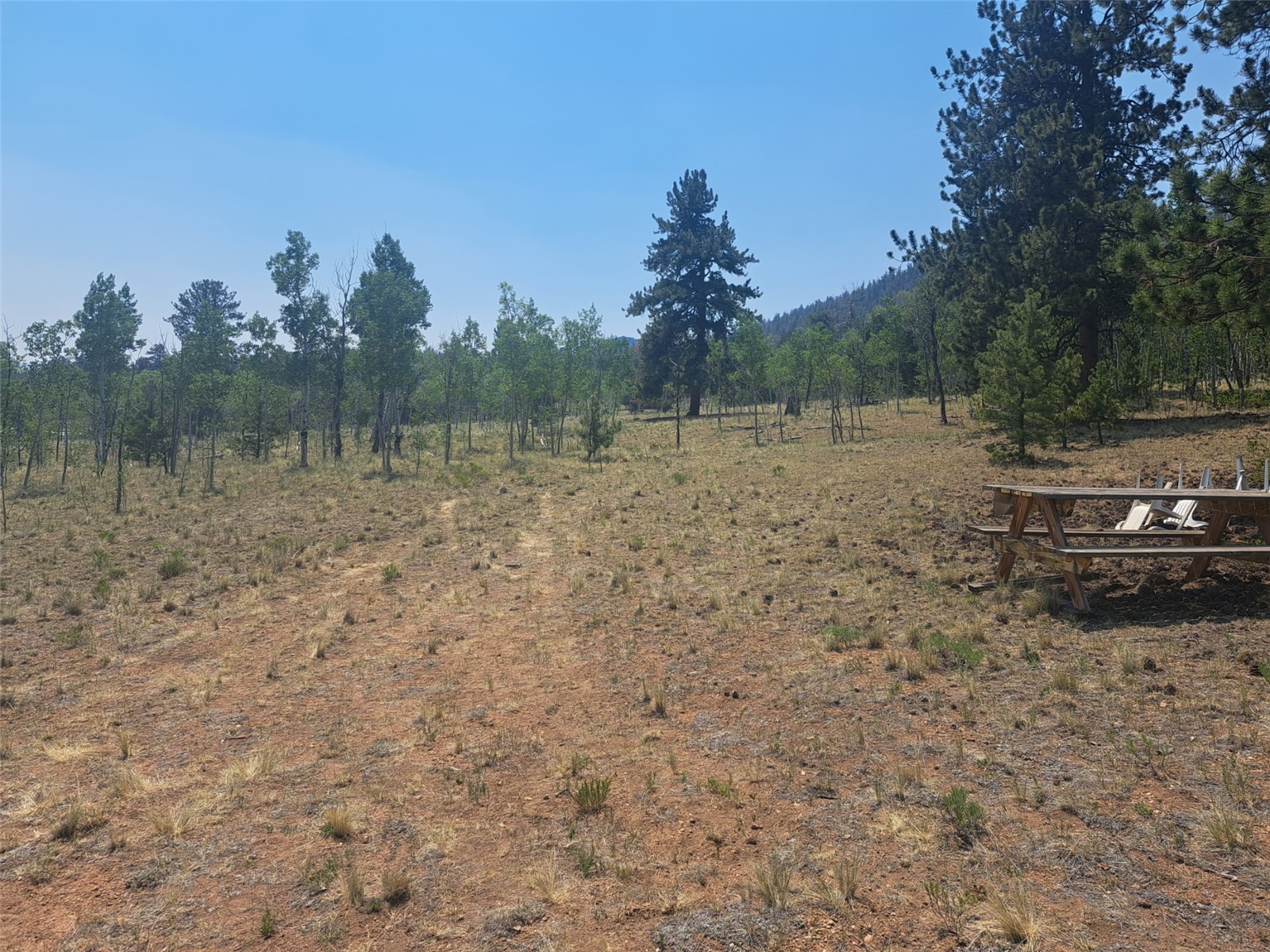 2338 Fitzsimmons Road Hartsel CO 80449