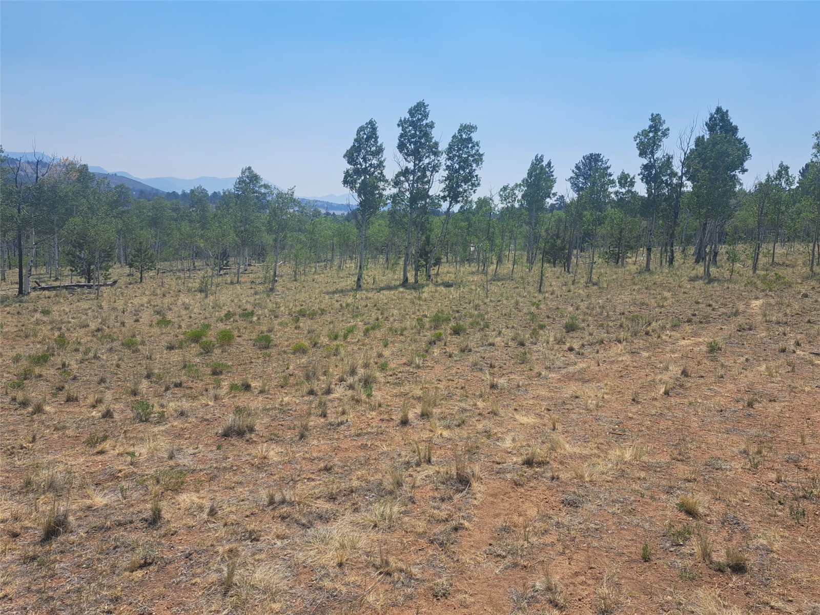 2338 Fitzsimmons Road Hartsel CO 80449