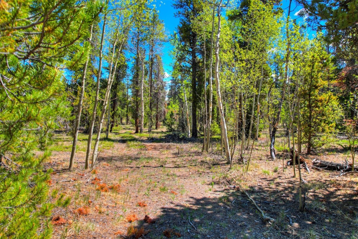 337 Busch Run Fairplay CO 80440