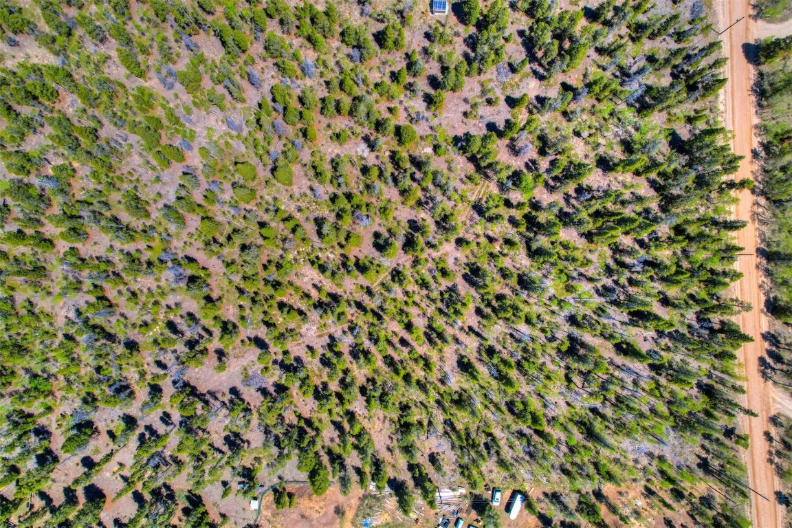 337 Busch Run Fairplay CO 80440